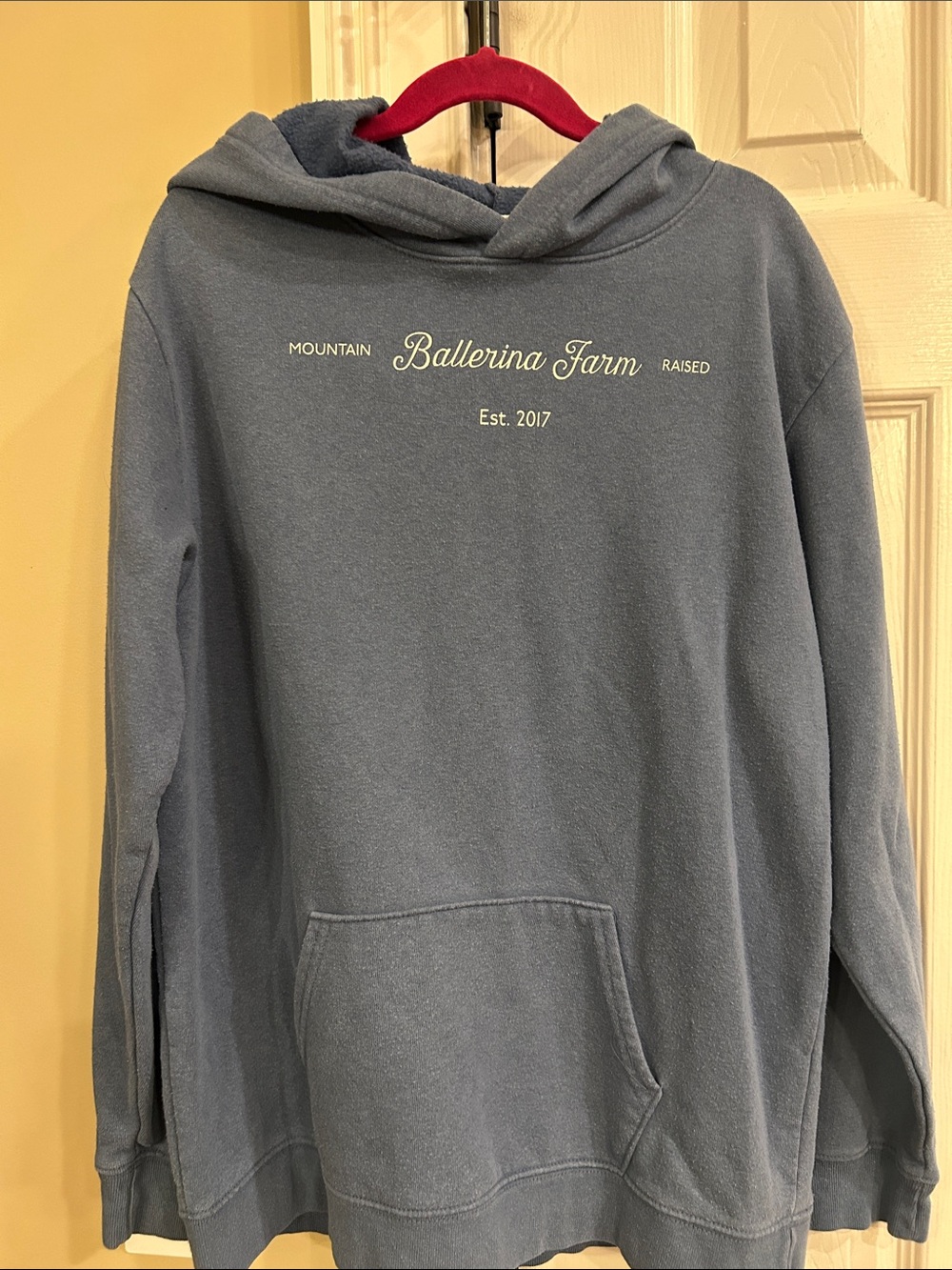 Ballerina farm kids xl blue grey hoodie